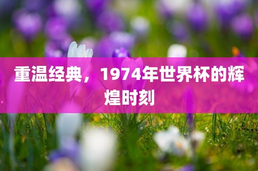 重温经典，1974年世界杯的辉煌时刻眉山市正发家政服务有限公司