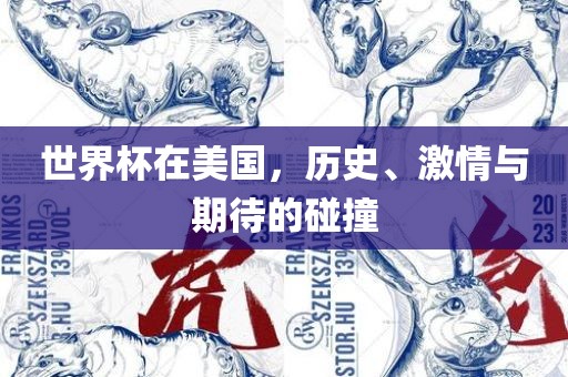 世界杯在美国，历史、激情与期待的碰撞