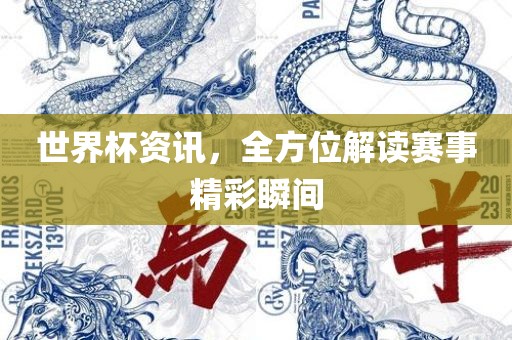 世界杯资讯，全方位解读赛事精彩瞬间眉山市正发家政服务有限公司
