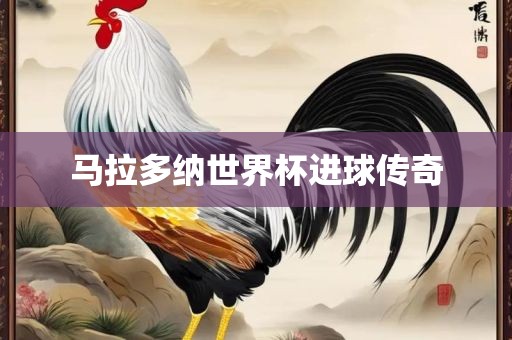 马拉多纳世界杯进球传奇