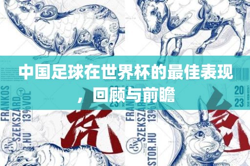 中国足球在世界杯的最佳表现，回顾与前瞻眉山市正发家政服务有限公司