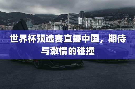 世界杯预选赛直播中国，期待与激情的碰撞