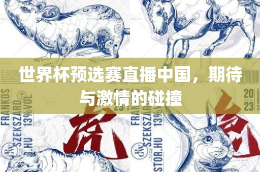 世界杯预选赛直播中国，期待与激情的碰撞
