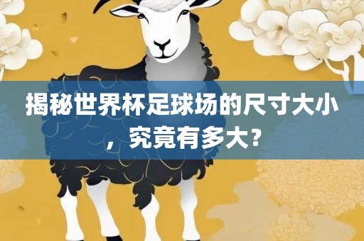 揭秘世界杯足球场的尺寸大小，究竟有多大？
