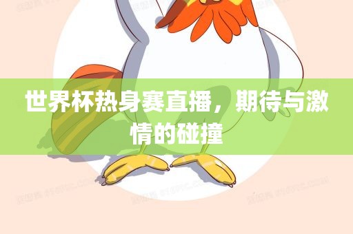 世界杯热身赛直播，期待与激情的碰撞