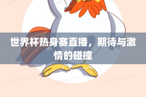 世界杯热身赛直播，期待与激情的碰撞