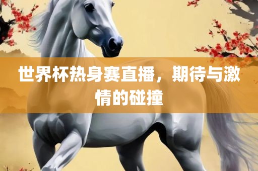 世界杯热身赛直播，期待与激情的碰撞
