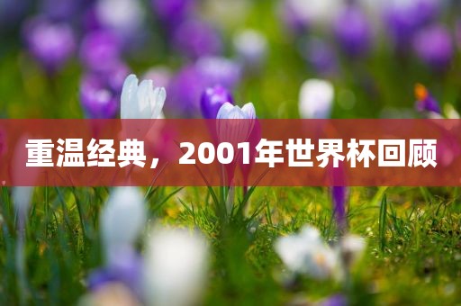 重温经典，2001年世界杯回顾