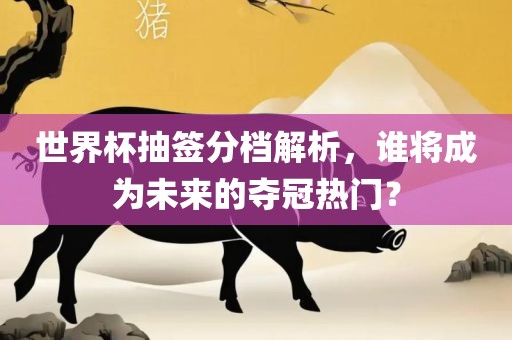 世界杯抽签分档解析，谁将成为未来的夺冠热门？
