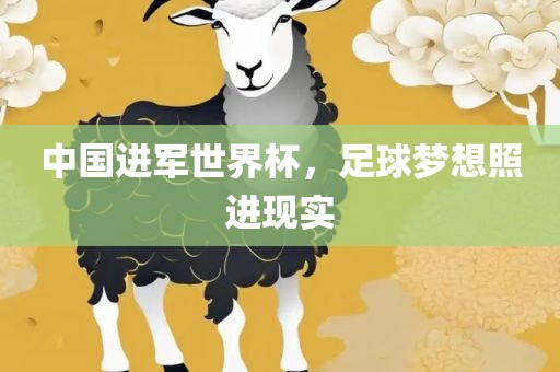 中国进军世界杯，足球梦想照进现实眉山市正发家政服务有限公司