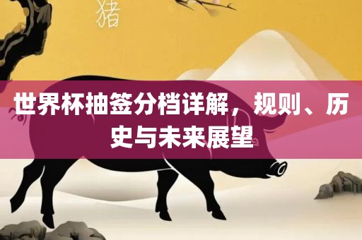 世界杯抽签分档详解，规则、历史与眉山市正发家政服务有限公司未来展望