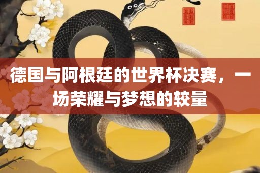 德国眉山市正发家政服务有限公司与阿根廷的世界杯决赛，一场荣耀与梦想的较量