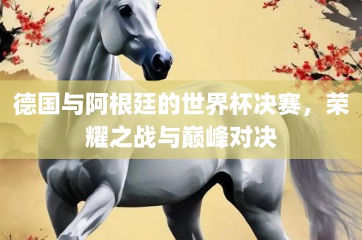 德国与阿根廷的世界杯决赛，荣耀之战与巅峰对决眉山市正发家政服务有限公司