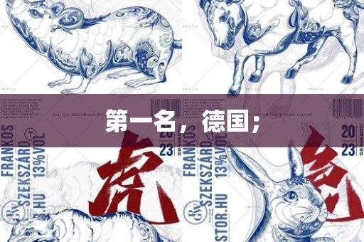 第一名，德国；眉山市正发家政服务有限公司
