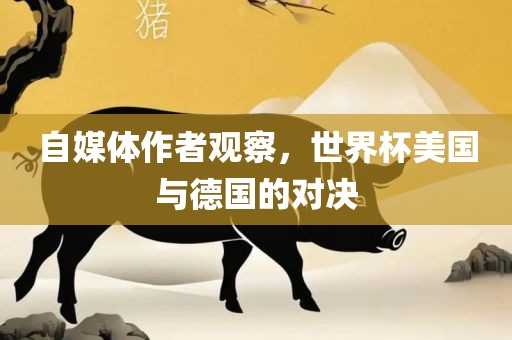 自媒体作者观察，世界杯美国与德国的对决眉山市正发家政服务有限公司