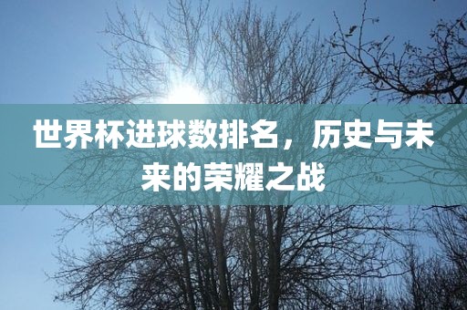 世界杯进球数排名，历史与未来的荣耀之战