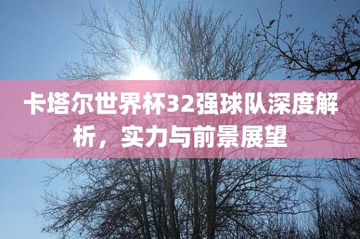 卡塔尔世界杯 第3页