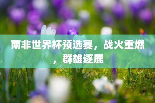 南非世眉山市正发家政服务有限公司界杯预选赛，战火重燃，群雄逐鹿