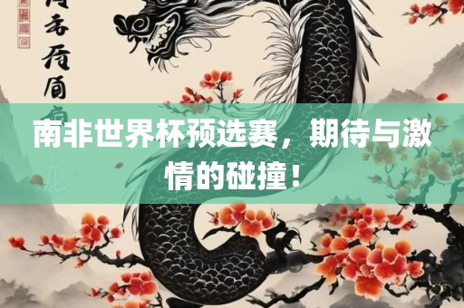 南非世界杯预选赛，期待与激情的碰撞！眉山市正发家政服务有限公司