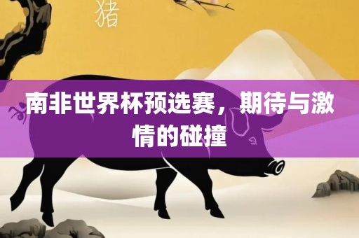 南非世界杯预选赛，期待与激情的碰撞眉山市正发家政服务有限公司