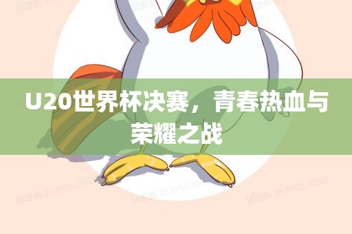 U20世界杯决赛，青春热血与荣耀之战