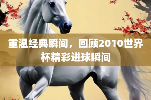 重温经典瞬间，回顾2010世界杯精彩进球瞬间