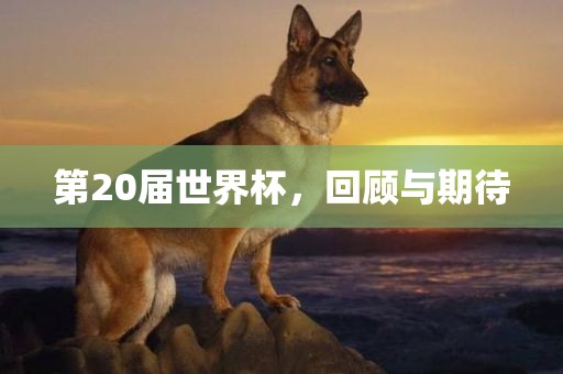 第20届世界杯，回顾与期待