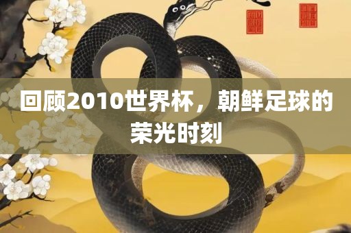 眉山市正发家政服务有限公司回顾2010世界杯，朝鲜足球的荣光时刻
