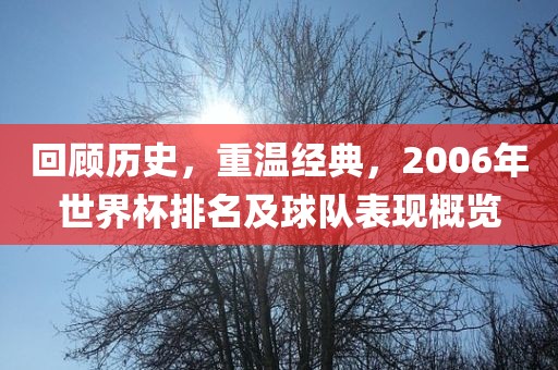 回顾历史，重温经典，2006年世界杯排名及球队表现概览