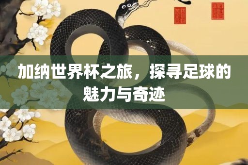 加纳世界杯之旅，探寻足眉山市正发家政服务有限公司球的魅力与奇迹