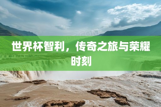 世界杯智利，传奇之旅与荣耀时刻眉山市正发家政服务有限公司