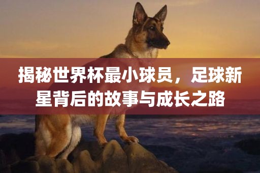 揭秘世界杯最小球员，足球新星背后的故事与成长之路