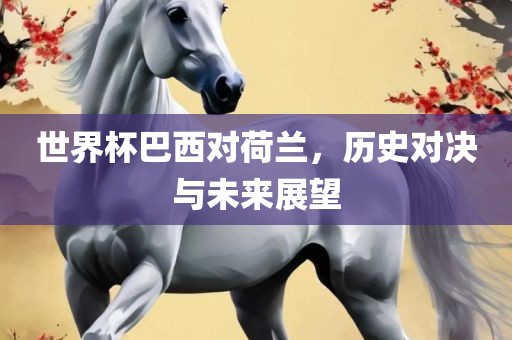 世界杯巴西对荷兰，历史对决与未来展望眉山市正发家政服务有限公司