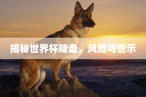 揭秘世界杯赌盘，风险与警示眉山市正发家政服务有限公司