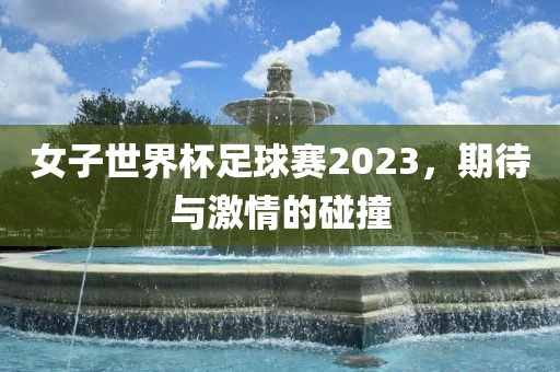 女子世界杯足球赛2023，期待与激情的碰撞眉山市正发家政服务有限公司