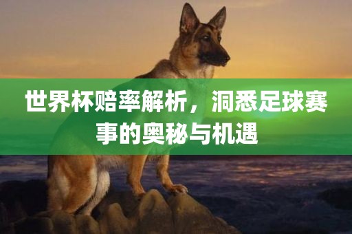 世界杯赔率解析，洞悉足球赛事的奥秘与机遇眉山市正发家政服务有限公司