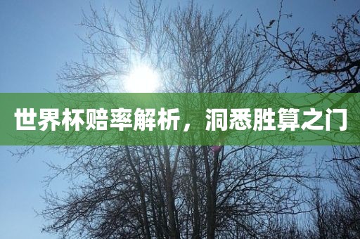 世界杯赔率解析，洞悉胜算之门