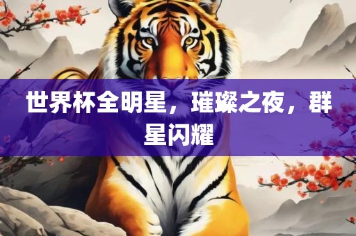 世界杯全明星，璀璨之夜，群星闪耀
