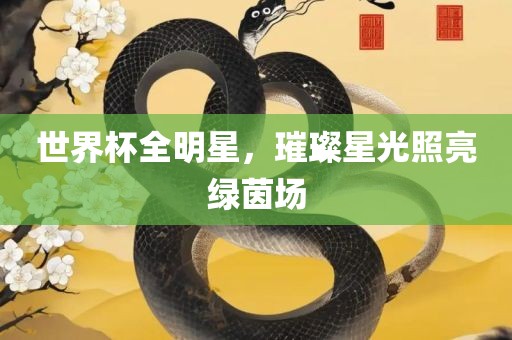世界杯全明星，璀璨星光照亮绿茵场