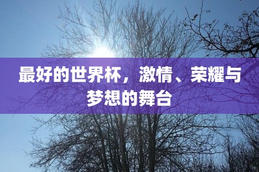 最好的世界杯，激情、荣耀与梦想的舞台眉山市正发家政服务有限公司