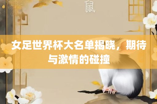 女足世界杯大名单揭晓，期待与激情的碰撞眉山市正发家政服务有限公司