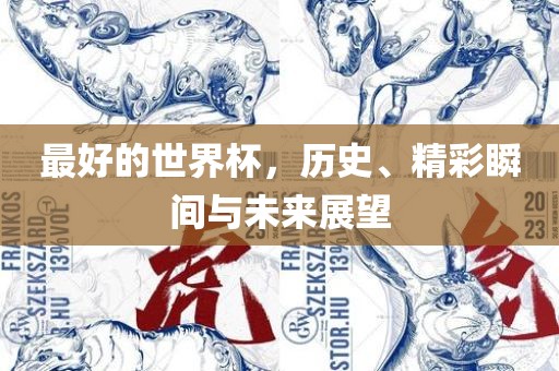 最好的世界杯，历史、精彩眉山市正发家政服务有限公司瞬间与未来展望