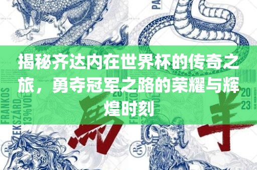 揭秘齐达内在世界杯的传奇之旅，勇夺冠军之路的荣耀与辉煌时刻