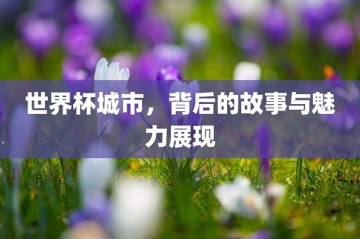 世界杯城市，背后的故事与魅力展现眉山市正发家政服务有限公司