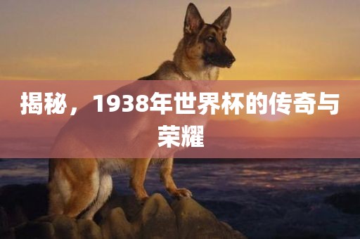 揭秘，1938年世界杯的传奇与荣耀眉山市正发家政服务有限公司