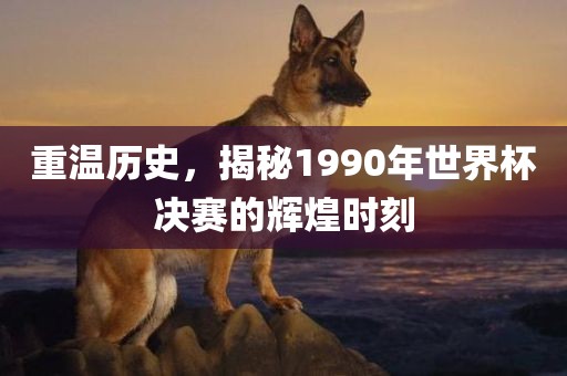 重温历史，揭秘1990年世界杯决赛的辉煌时刻