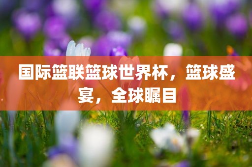 国际篮联篮球世界杯，篮球盛宴，全球瞩目眉山市正发家政服务有限公司