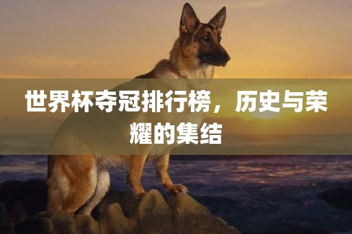 世界杯夺冠排行榜，历史与荣耀的集结眉山市正发家政服务有限公司