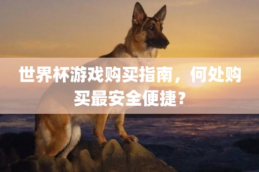 世界杯游戏购买指南，何处购买最安全便捷？