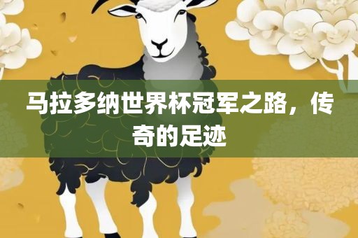 马拉多纳世界杯冠军之路，传奇的足迹眉山市正发家政服务有限公司